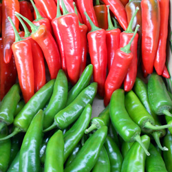 Featured image of post Steps to Make Serenade Chilli Plant